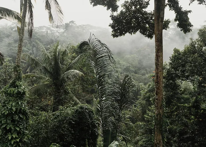 The Iyang Hotel Ubud